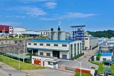 Suzhou Endless Summer Trading Co., Ltd 製造者の生産ライン
